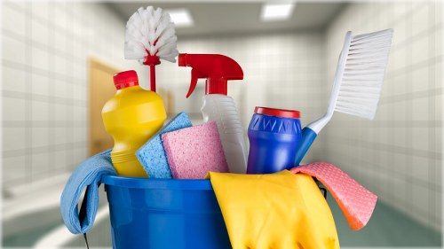 Steam carpet cleaning equipment in a Pondersend home