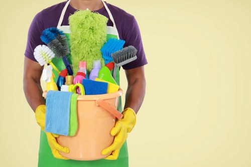Professional stain removal service for carpets in Pondersend