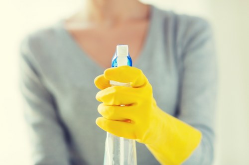 Fresh, clean home after pet stain odour removal service