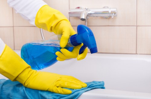 Eco-friendly carpet cleaning service in Pondersend