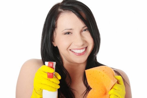 Stain treatment and deep carpet cleaning in a Pondersend home