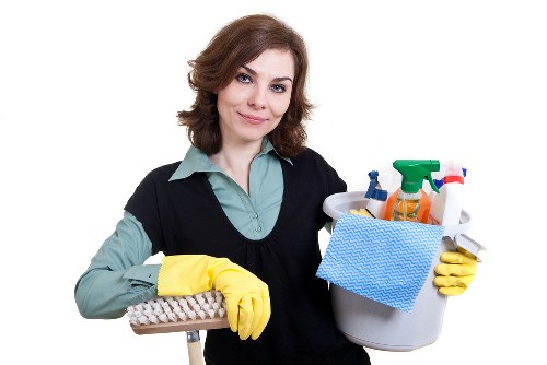 Transparent carpet cleaner rate explanation with property examples